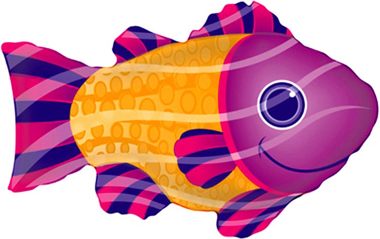 28" Funky Fish Purple & Orange