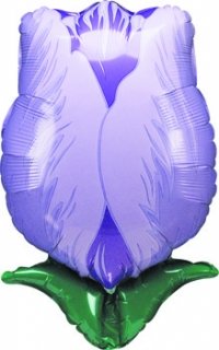 28" Tulip Violet