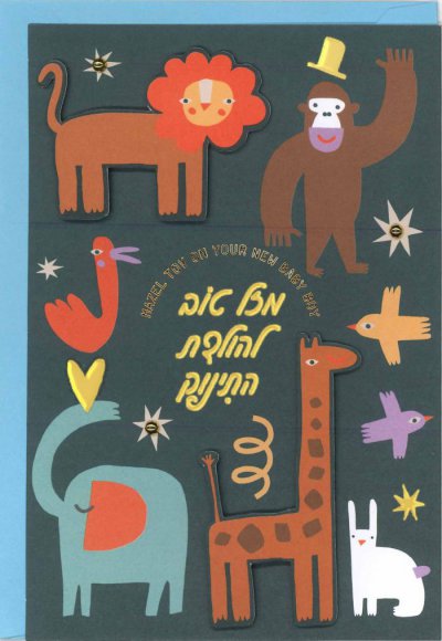 Baby Boy Greeting Card (S)