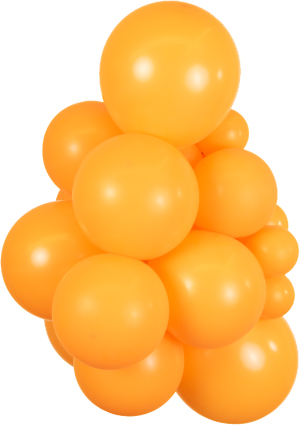 12" Orange 2320 KALISAN 